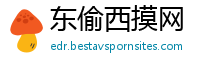 东偷西摸网